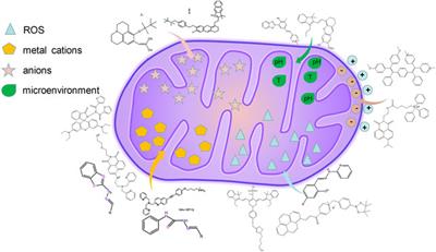 Fluorescent Probes Design Strategies for Imaging Mitochondria and Lysosomes